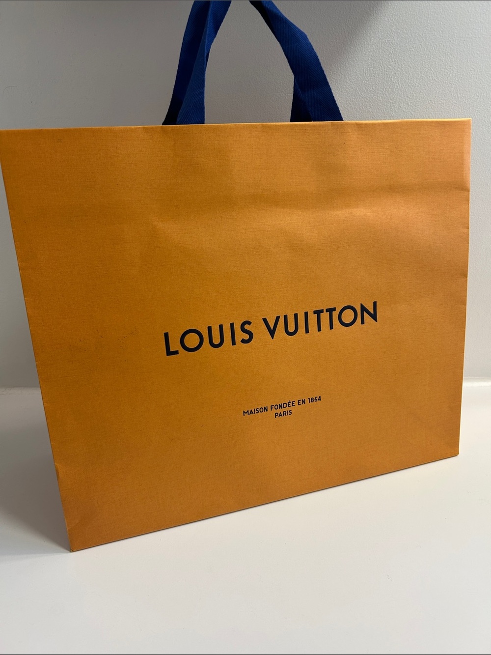 Louis Vuitton Empty Shopping / Gift Paper Bag